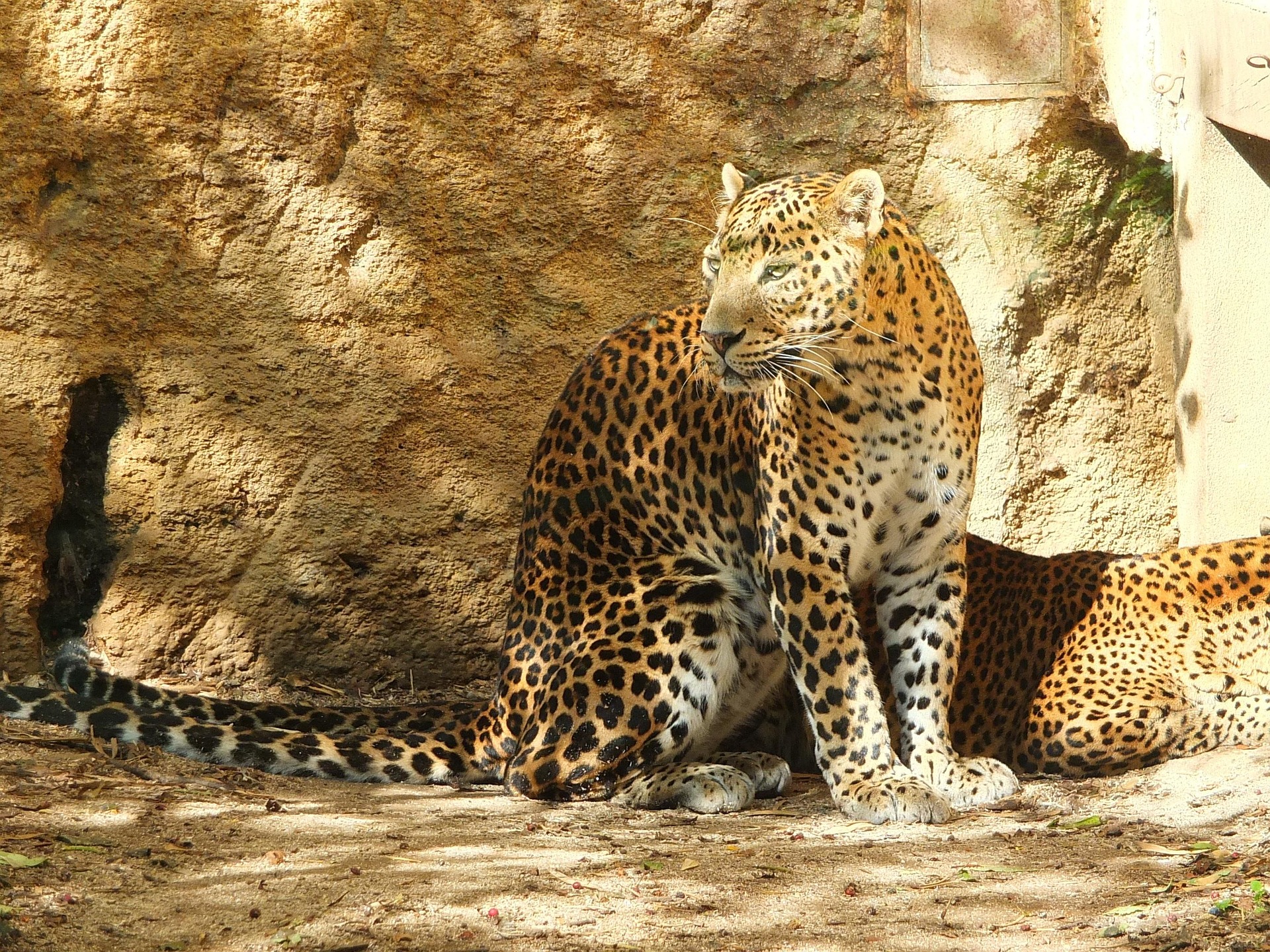Island Circuit — Trincomalee, Sigiriya