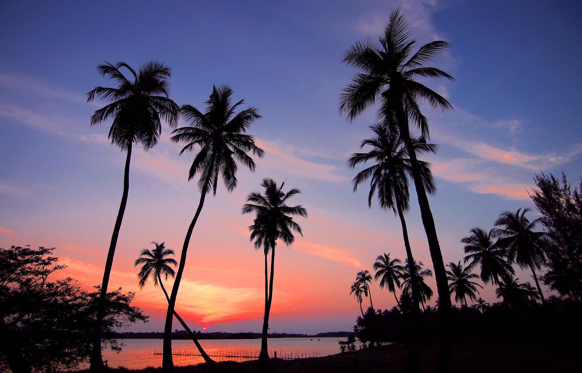 Island Sampler — Negombo, Sigiriya