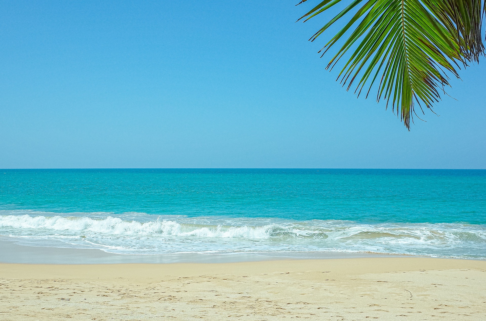 Two Shores — Negombo, Jaffna